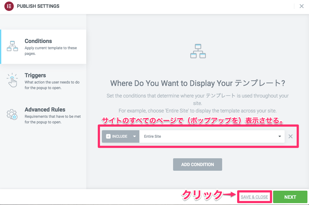  Display Conditions・ INCLUDE/Entire Site