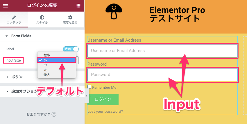 Input Sizeの説明