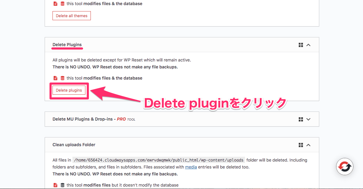 『Delete Plugins』のセクションで『Delete Plugins』ボタンをクリック