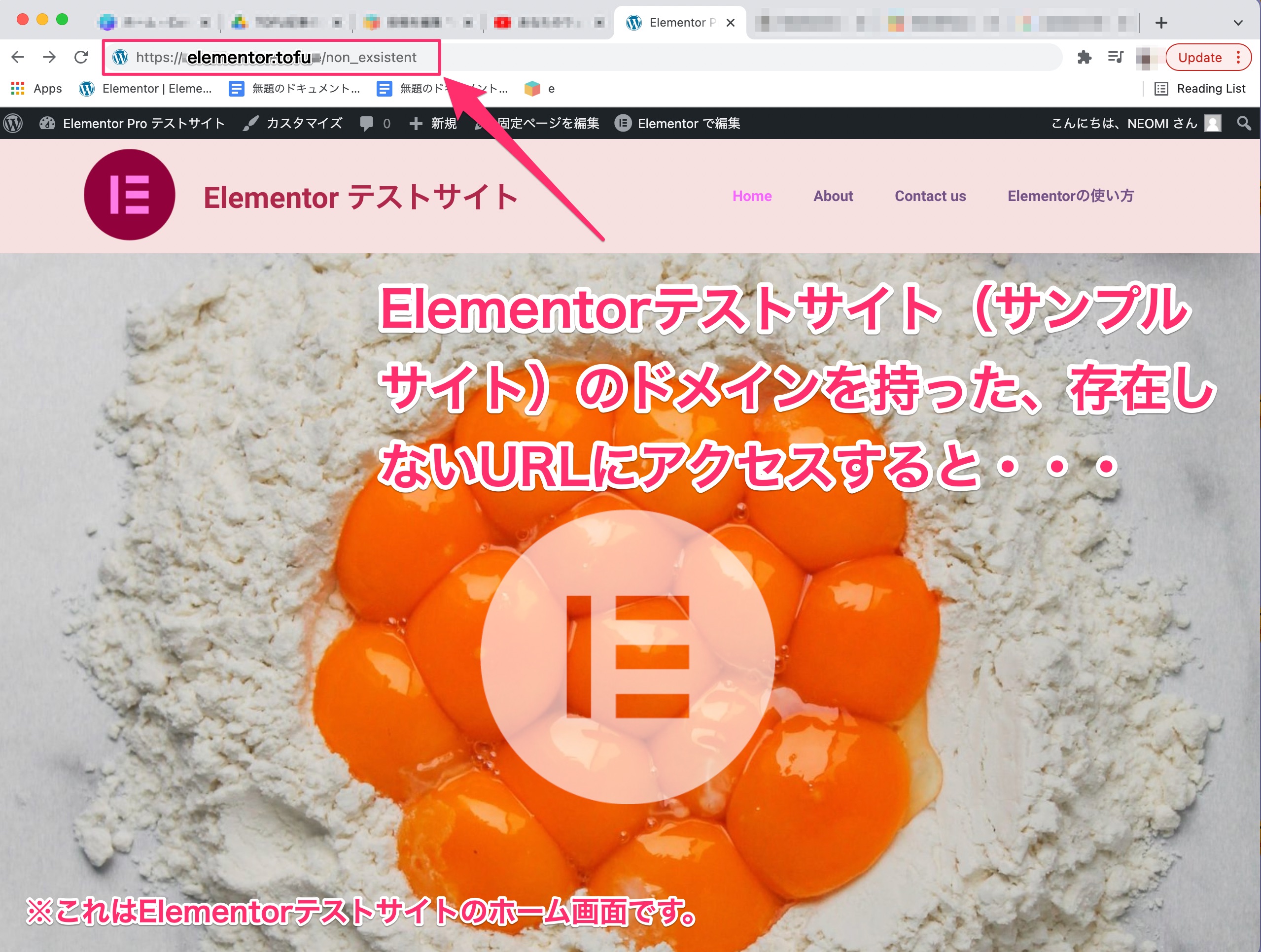 実験・位置的にエラーログを作成：elementor.tofuのサイトの存在しないページにアクセス