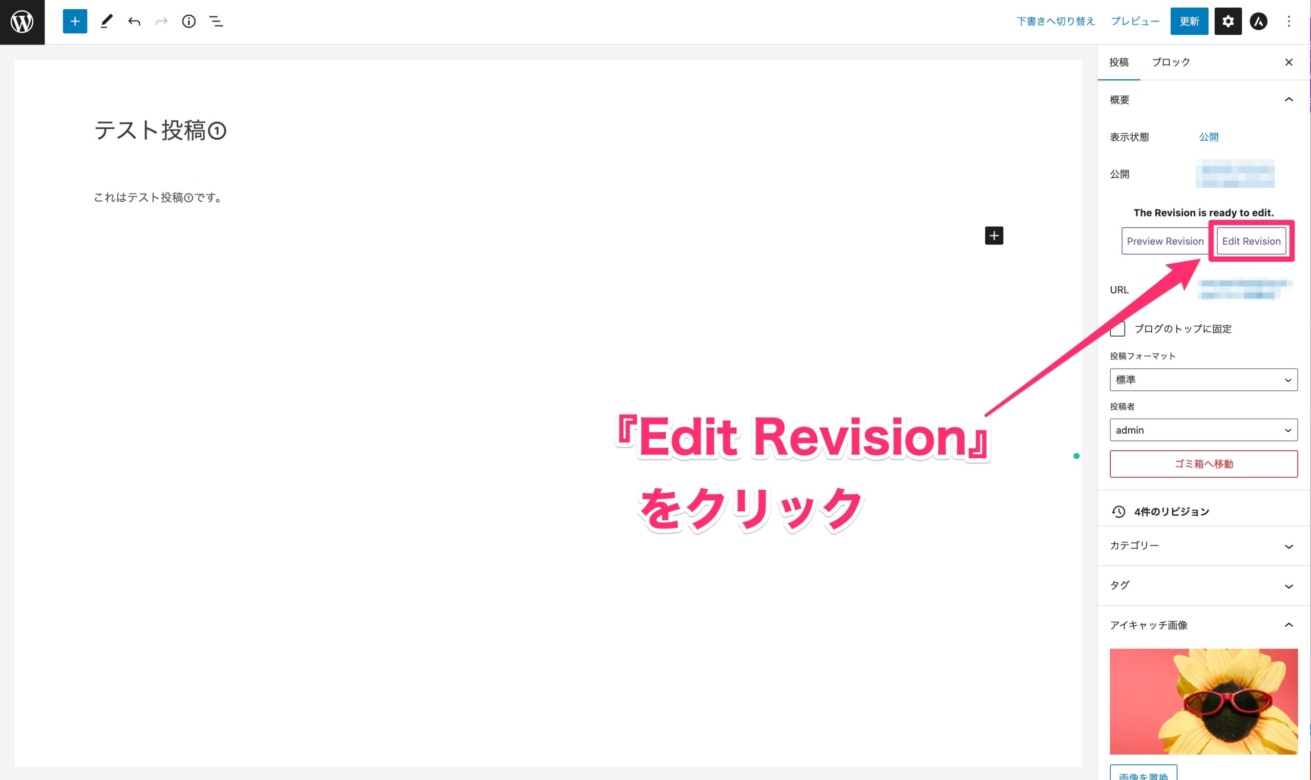 投稿の編集画面で『Edit Revision』をクリック